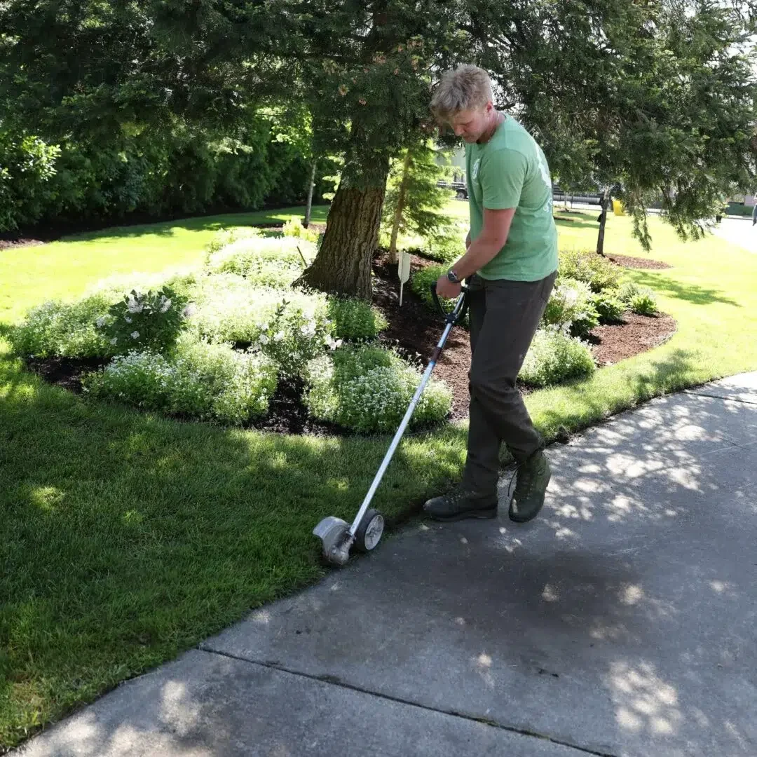 Greenscape project photo — a Greenscape crew member running a wheeled edger along the lawn edge beside a sidewalk