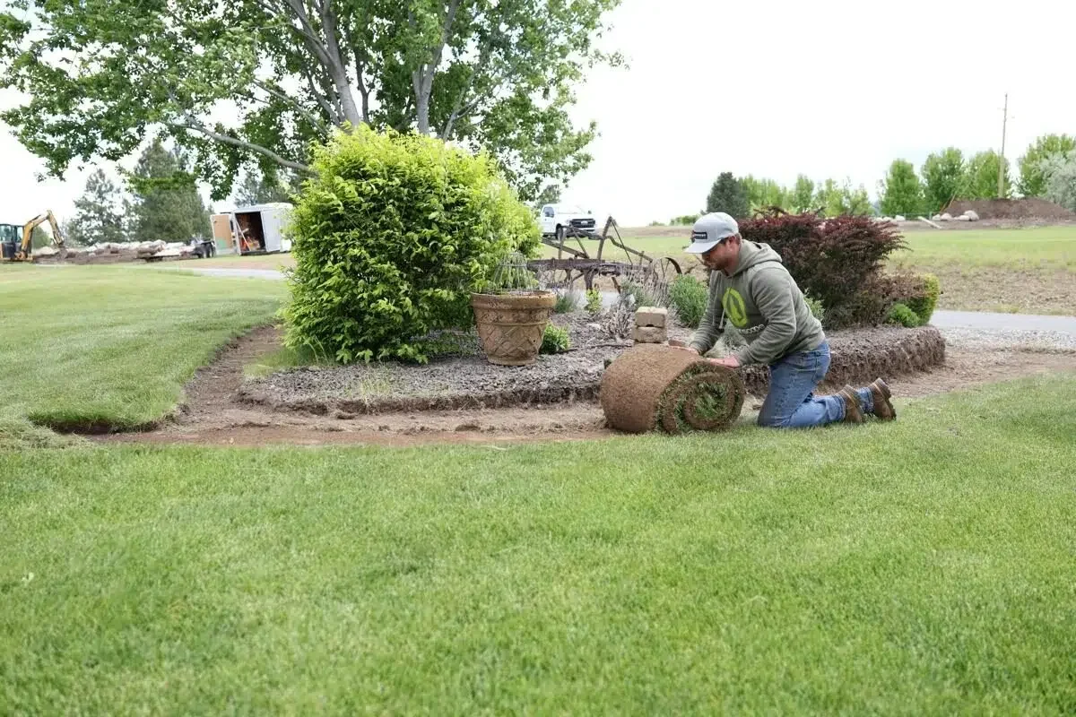 Greenscape project photo — a Greenscape technician kneeling to unroll a length of sod along a curved planting bed